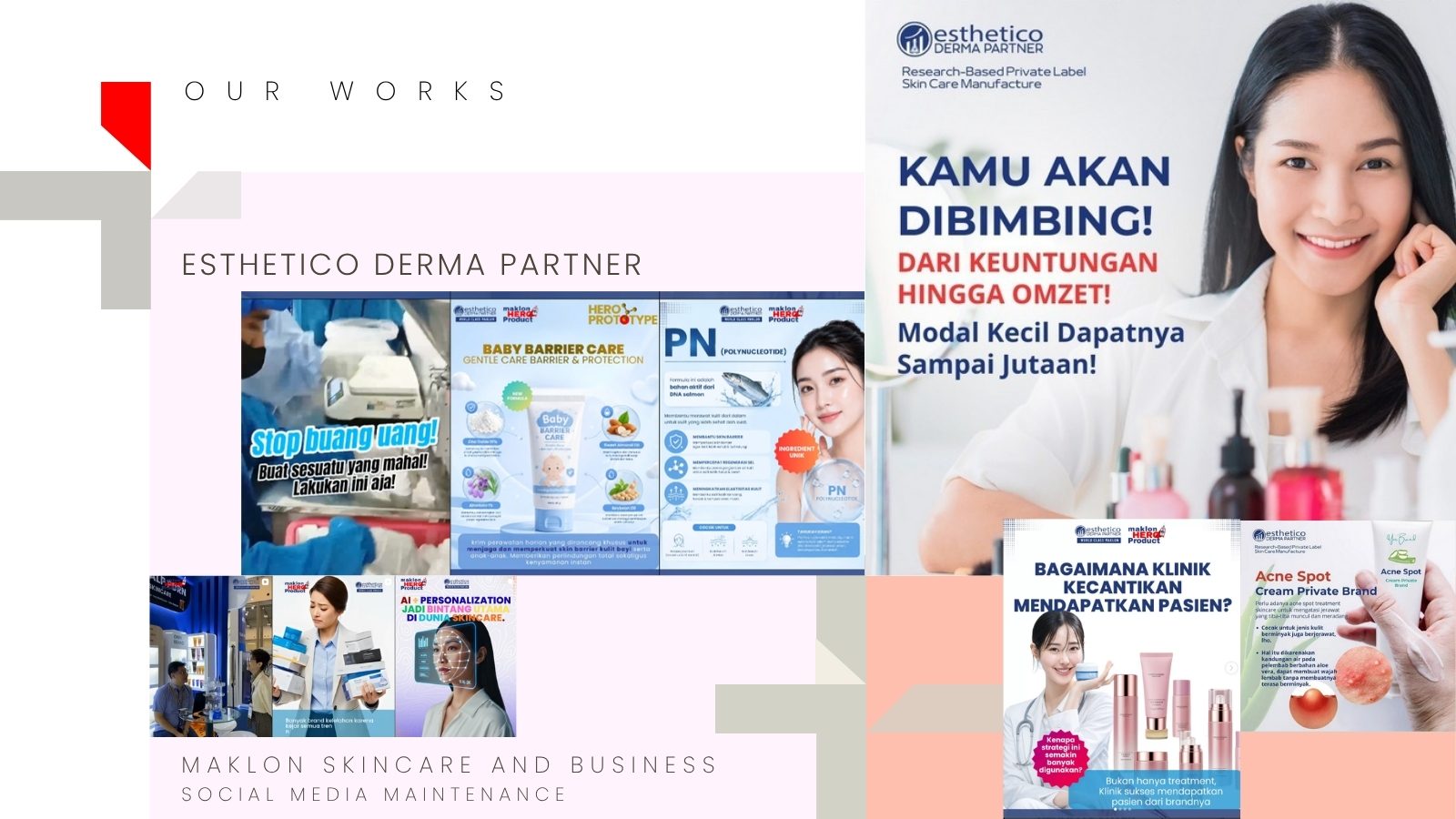 Esthetico Derma Partner
